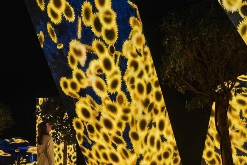 Illuminated trees with a sunflower pattern. 2