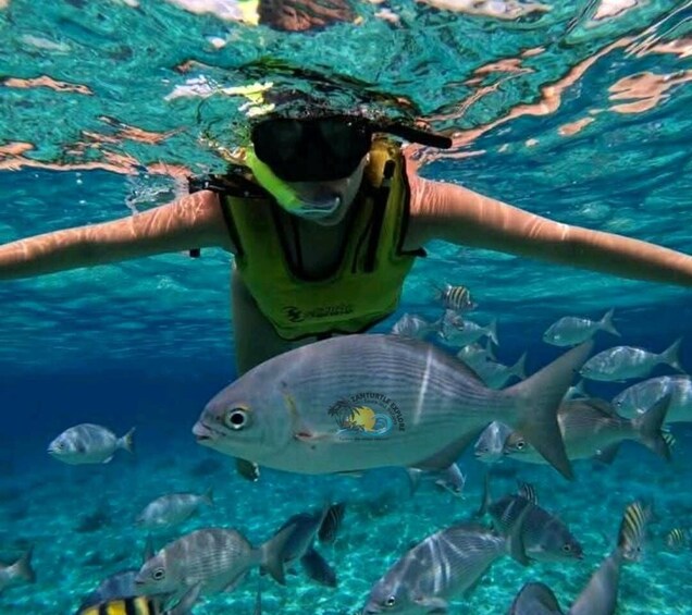 A person swimming underwater with a large fish and a school of smaller fish. 3