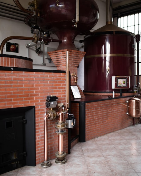 Picture 10 for Activity Le Breuil en Auge - Guided tour of the Château distillery 4