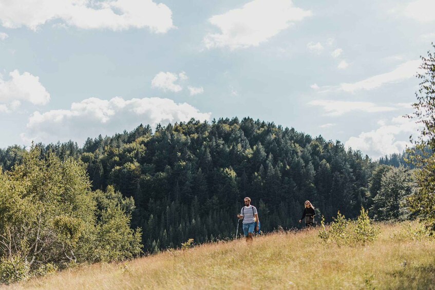 Two people hiking in a grassy field with a forested hill in the background. 3