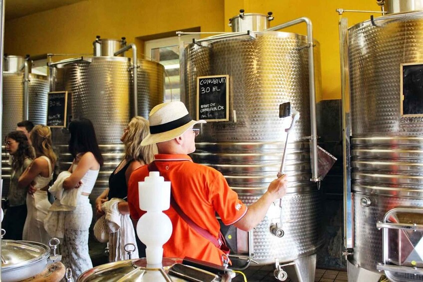 Picture 15 for Activity From Rome: Cantina Le Macchie Winery Tour and Tasting 2