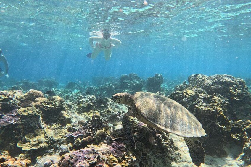 Gili Air Private Snorkeling Tour with Sea Turtles & Free GoPro 1