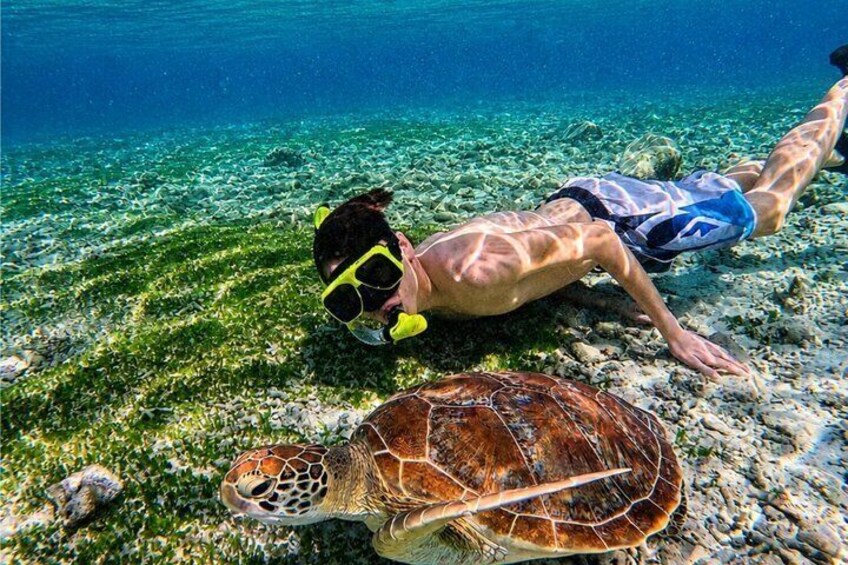 Gili Air: Snorkeling with Turles, GoPro Photos (Shared & Private) 3