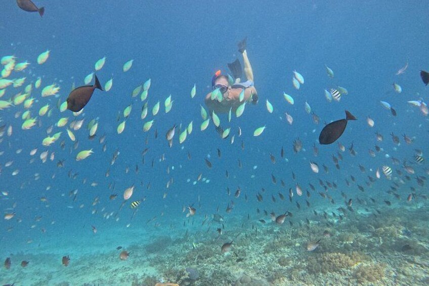 Gili Air Private Snorkeling Tour with Sea Turtles & Free GoPro 3