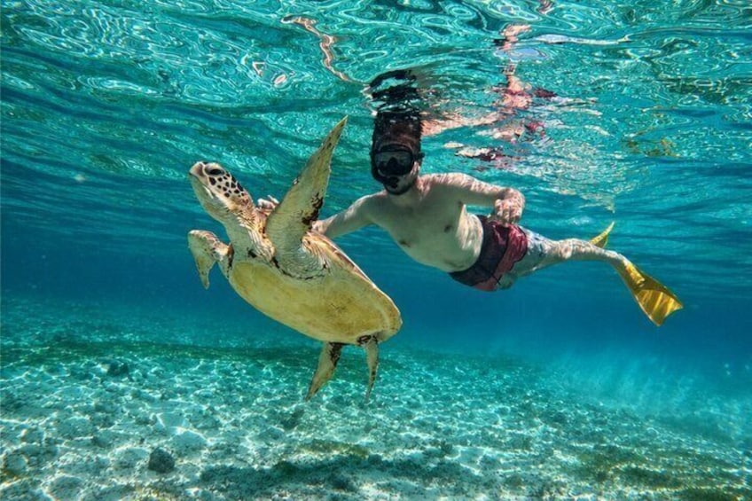 Gili Air: Snorkeling with Turles, GoPro Photos (Shared & Private) 1