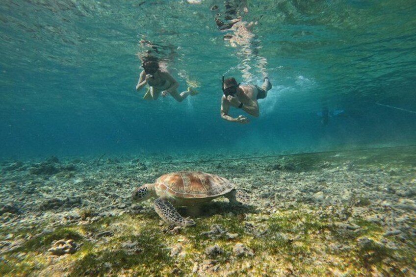 An underwater scene with a turtle on the ocean floor and two divers swimming above. 2