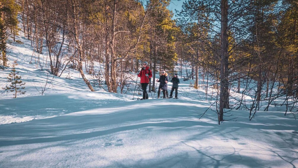 A group of people cross-country skiing on a snow-covered trail surrounded by trees. 4
