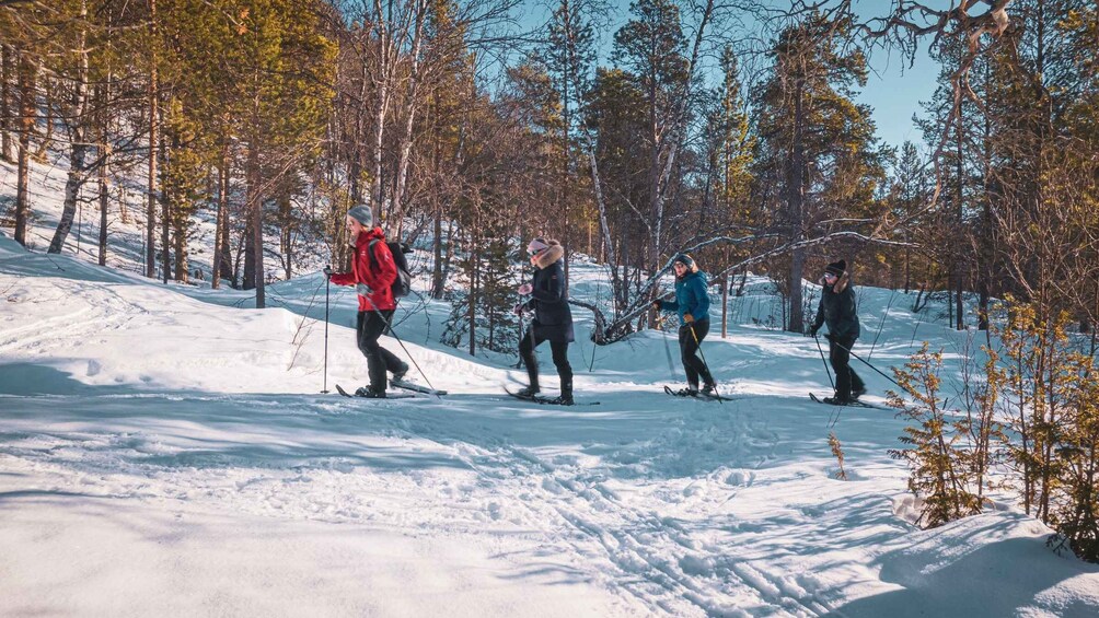 Four people cross-country skiing on a snowy trail with trees. 1