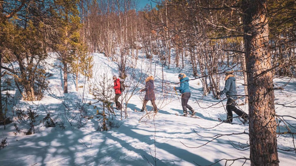 A group of people cross-country skiing through a snowy forest. 5