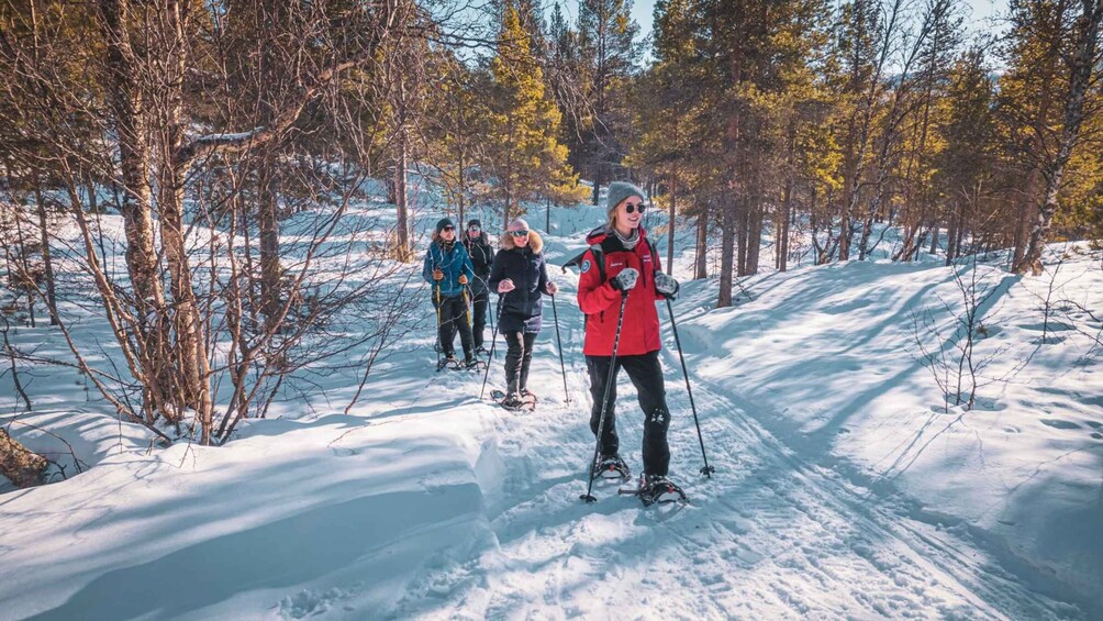 A group of people cross-country skiing through a snowy forest. 3
