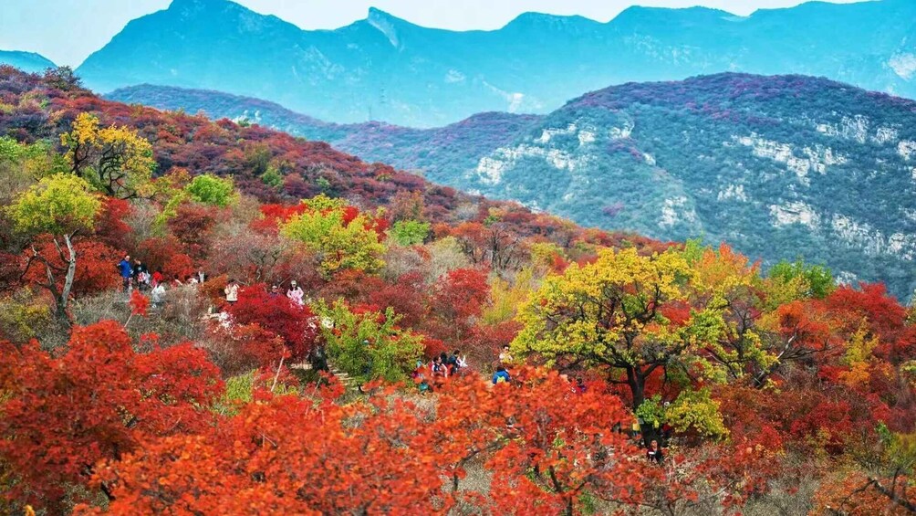 A mountainous landscape with autumn foliage. 2