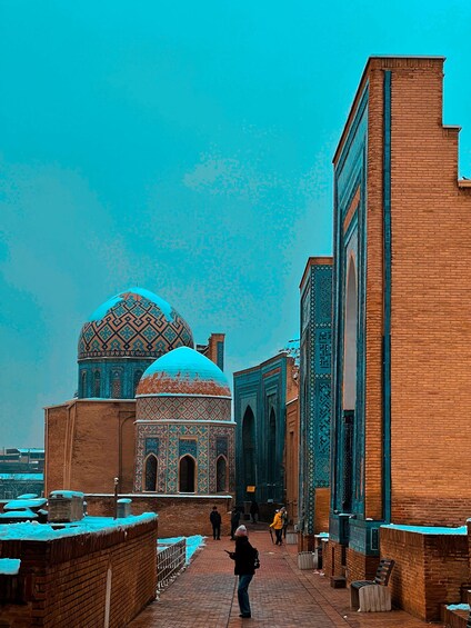 Picture 4 for Activity Samarkand One-Day Historical Heritage Tour with Guide 5