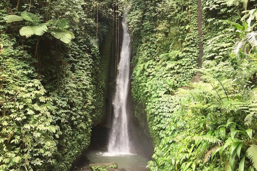 A waterfall surrounded by dense green foliage. 3