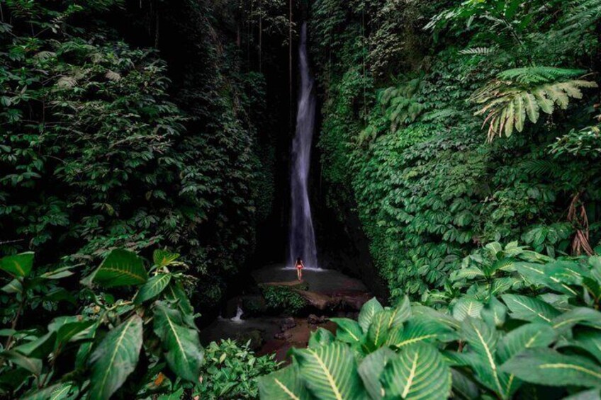 A waterfall surrounded by dense green foliage. 2