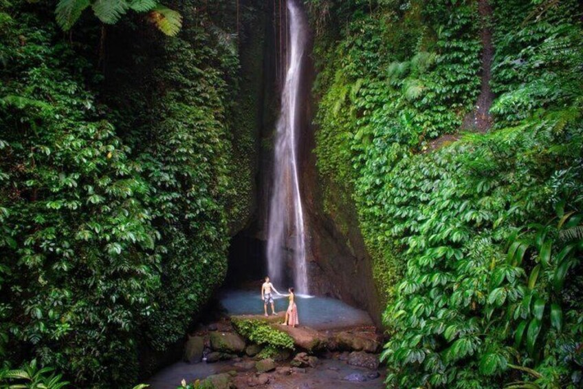 A waterfall in a lush green forest with dense foliage on either side. 5
