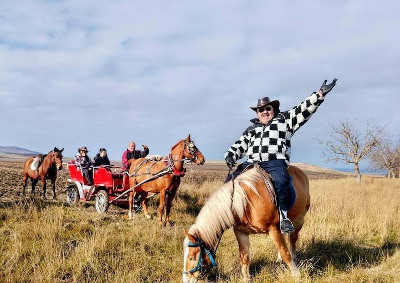 A person riding a horse in a field with a red carriage and other horses. 4