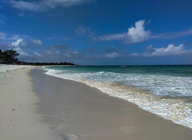 Picture 4 for Activity Diani: Coastal Excursion 3
