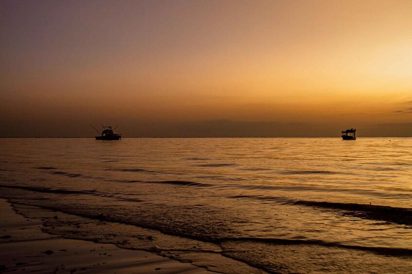 Diani: Coastal Excursion 1