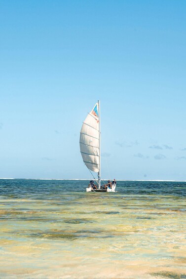 Picture 3 for Activity Diani: Coastal Excursion 5