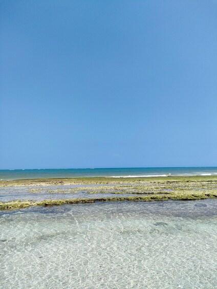 Picture 1 for Activity Diani: Coastal Excursion 2