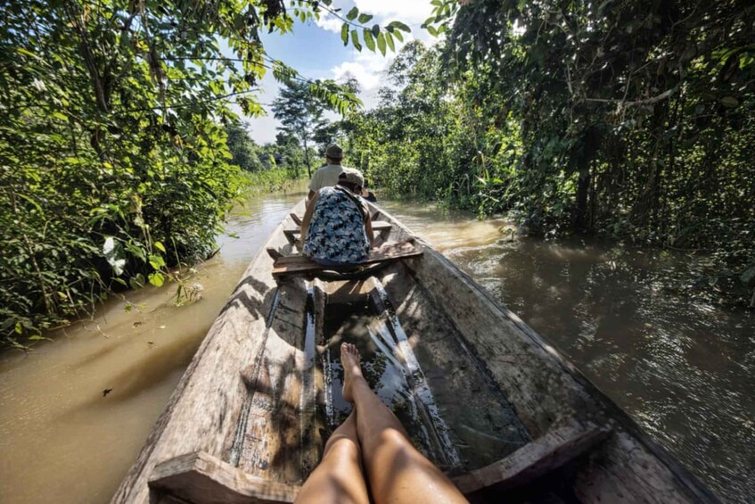 A wooden boat on a river surrounded by dense greenery. 1