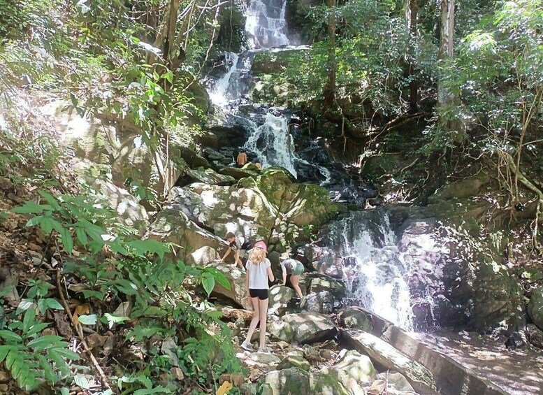 A waterfall in a forested area with rocks and greenery. 4