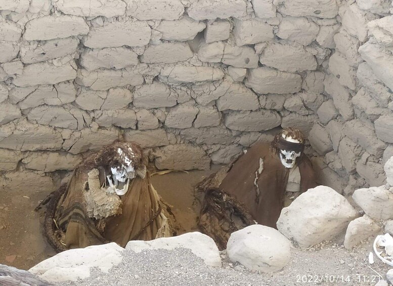 Two lion statues with a rocky wall background. 5