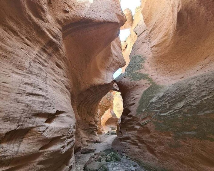 A narrow canyon with smooth, reddish rock walls and a visible stream. 1
