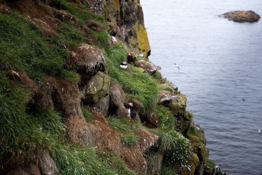 A rocky coastline with grass, a cliff, and a body of water. 5