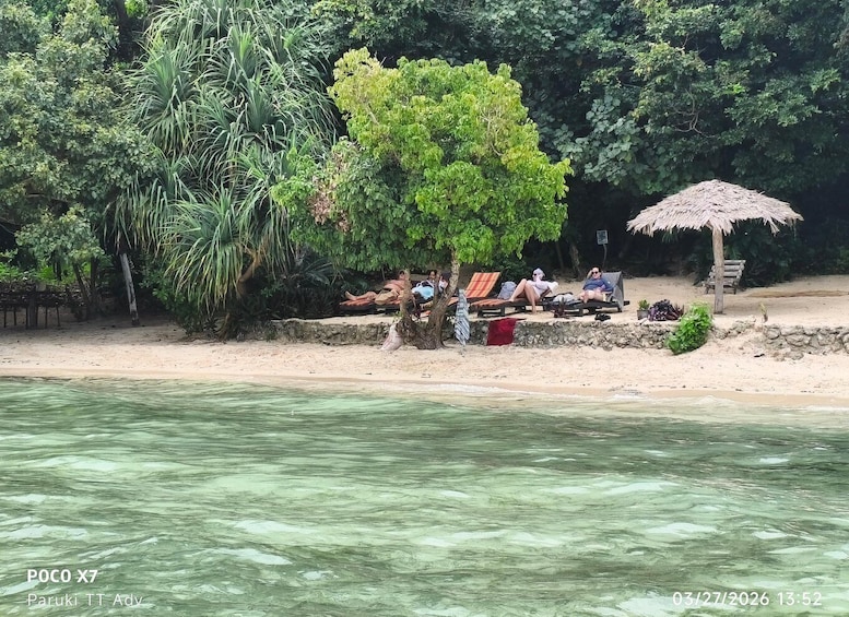 A beach with people relaxing under trees, a thatched umbrella, and a clear view of the water. 1