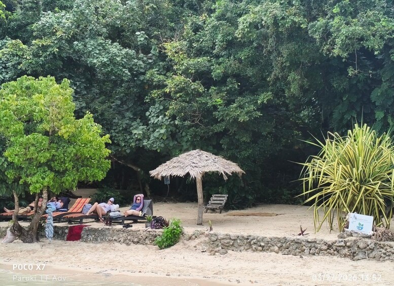 A beach with lounge chairs, a thatched umbrella, and lush greenery. 2