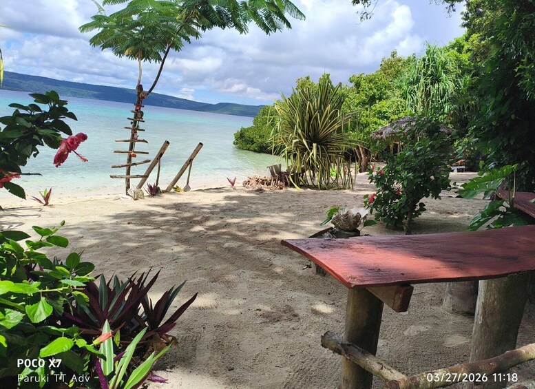 A beach with a wooden bench, tropical plants, and a clear view of the ocean. 5