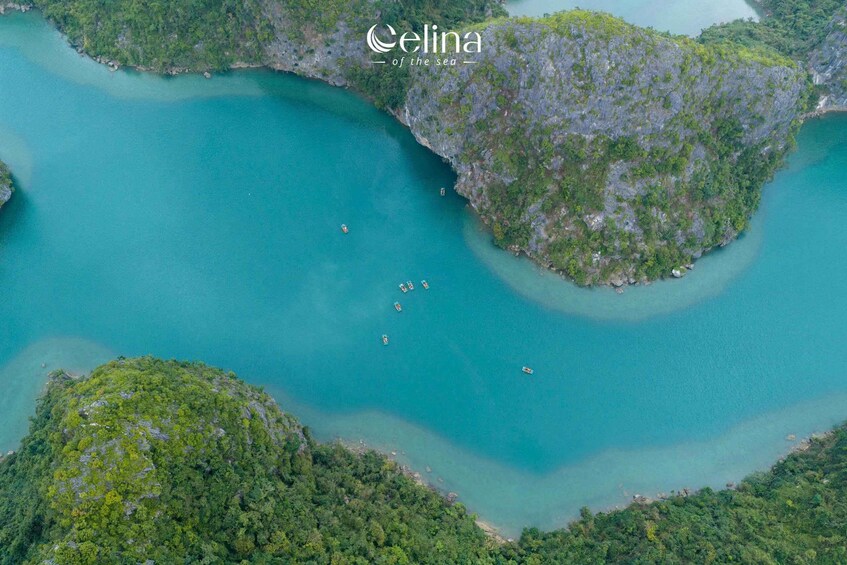 A coastal landscape with a turquoise sea, a forested island, and several boats. 4