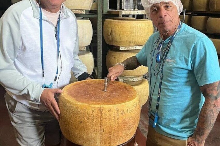 Guided tour of the cheese factory and tasting of Parmigiano Reggiano 2