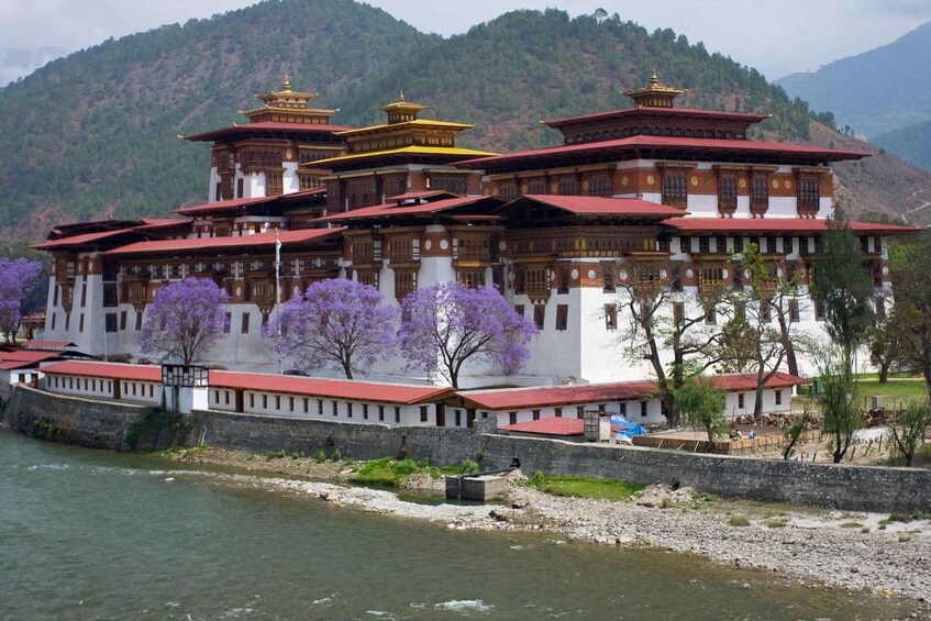 A traditional multi-tiered building with red roofs, surrounded by purple flowering trees, by a river. 5