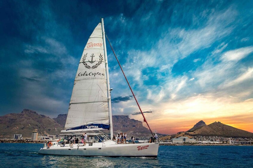 A sailboat with 'Tigress' branding on its sail, sailing near a coastal town with mountains in the background. 1