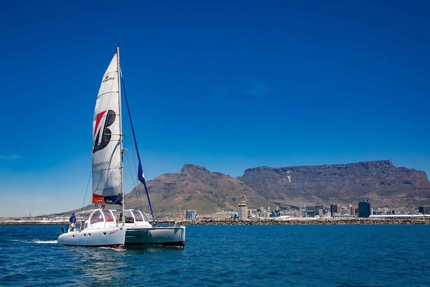 A sailboat with a 'B' logo on its sail, sailing near a rocky shoreline with a cityscape and mountains in the background. 3