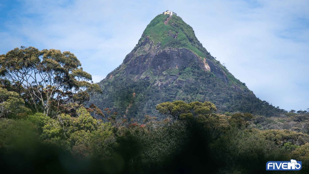 A mountain with a building on top, surrounded by dense forest. 1