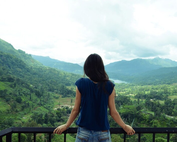 A person overlooking a lush green valley with mountains in the distance. 3