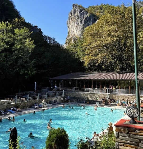 A swimming pool surrounded by trees and a rocky cliff. 3