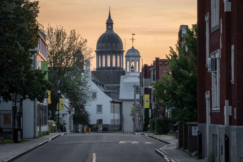 A street leading to a large domed building with a bell tower, surrounded by residential buildings and trees. 3