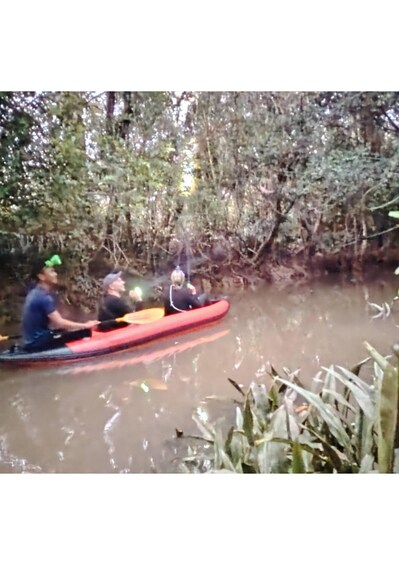 A red canoe with two paddlers navigating a murky river surrounded by dense mangrove vegetation. 5