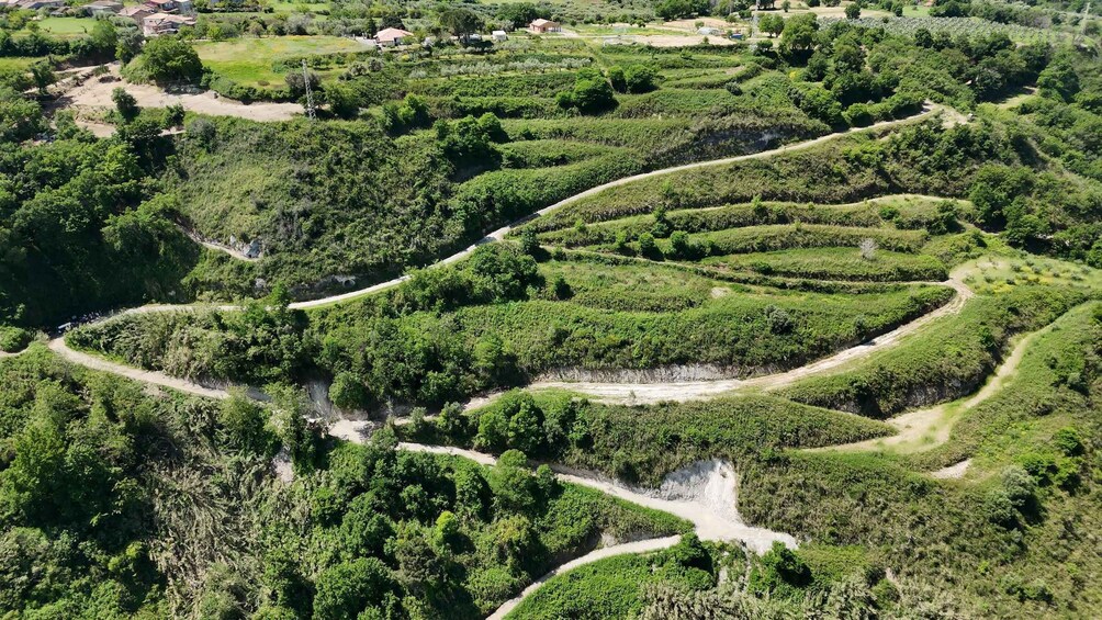 Terraced agricultural fields with winding paths. 1