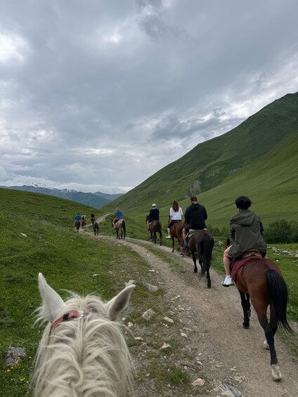A group of people riding horses on a dirt path through a grassy hillside. 5