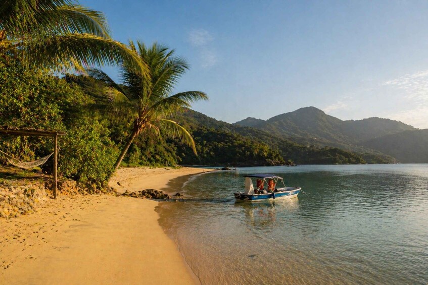 A beach with a boat, palm trees, and mountains in the background. 2