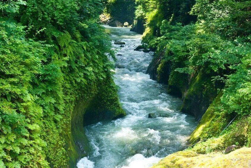 A river flowing through a lush, green canyon. 5