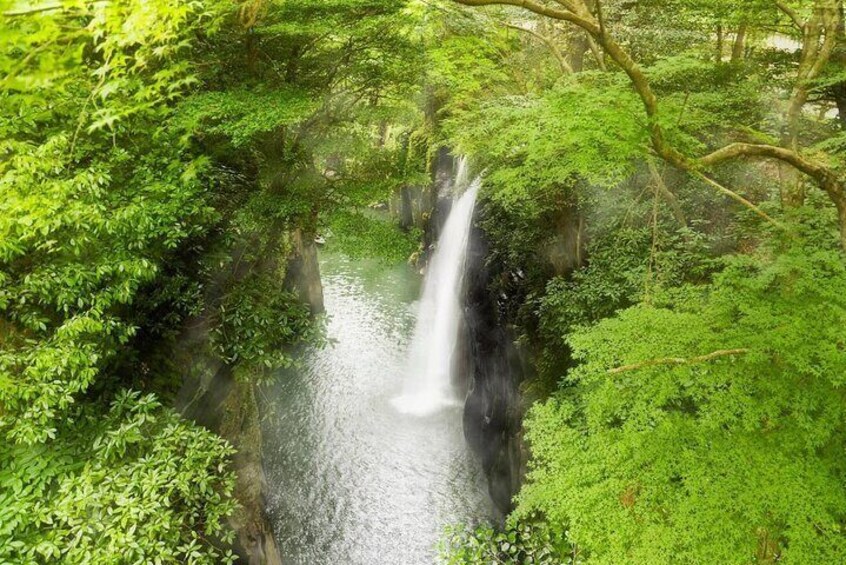 A waterfall surrounded by dense green foliage. 2