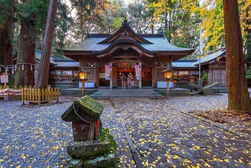 A traditional Japanese temple with a wooden structure, surrounded by trees and covered in fallen yellow leaves. 1