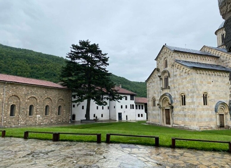 A historic stone building with arched windows, a large tree in the courtyard, and a mountainous backdrop. 3
