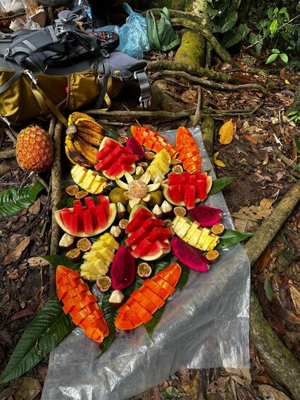 A variety of tropical fruits arranged on a plastic sheet in a forest setting. 4